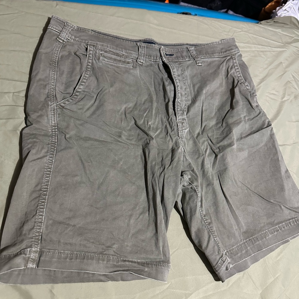 American Eagle Outfitters Olive Green Flat Front Casual Shorts